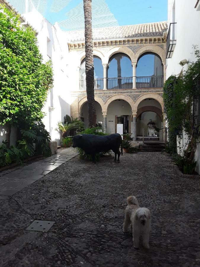 Apartamento Beside The Roman Wall Córdoba Exterior foto